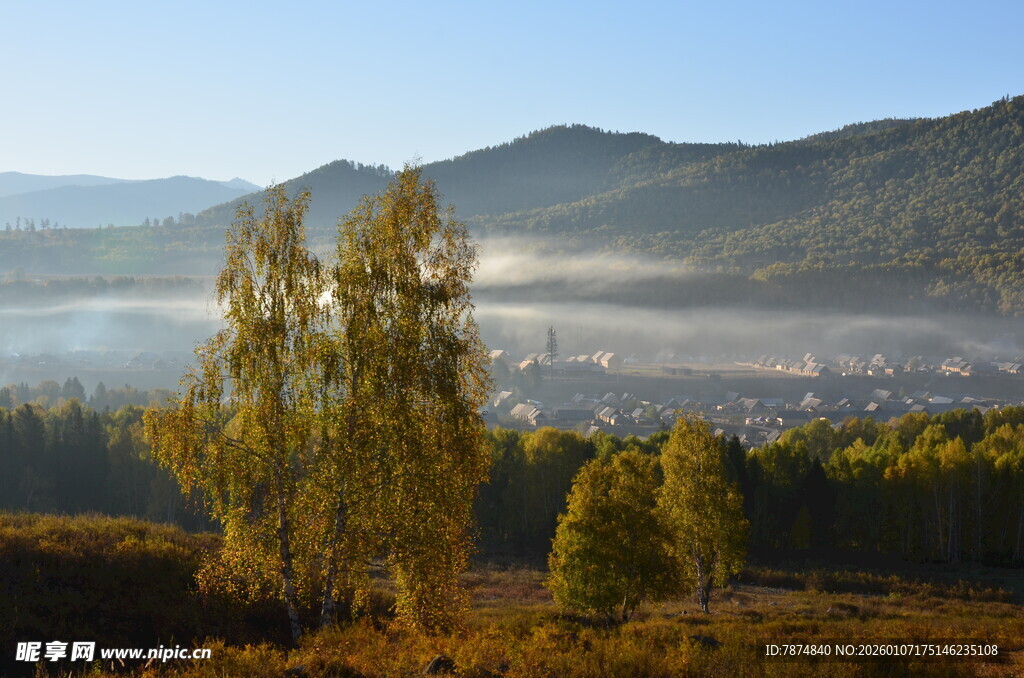 山间晨景 树木与薄雾相依