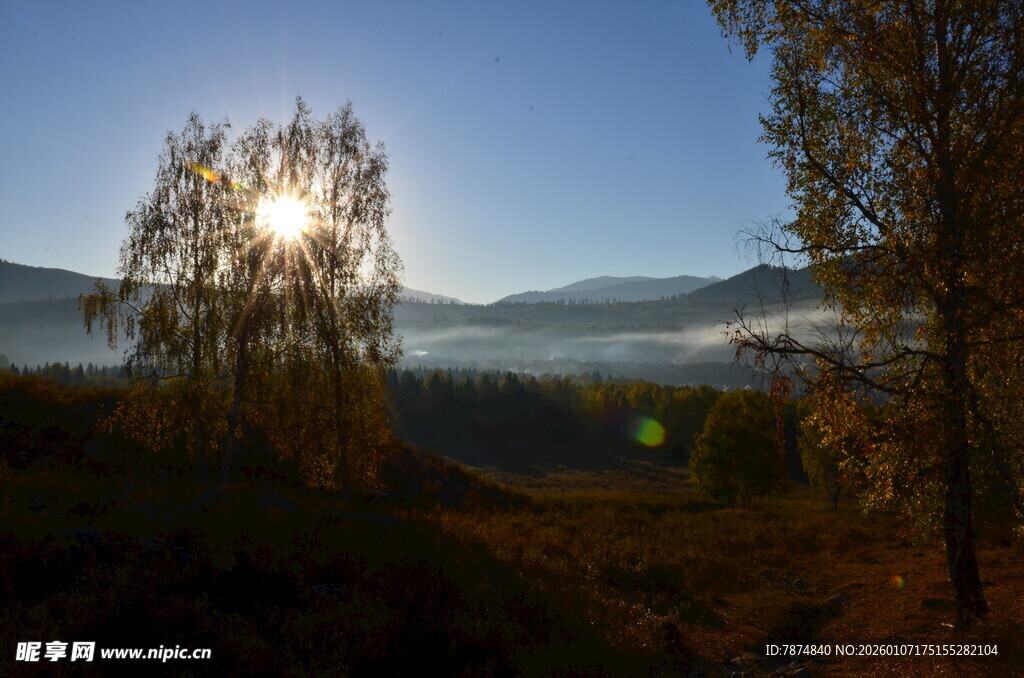 日出山林间的静谧美景