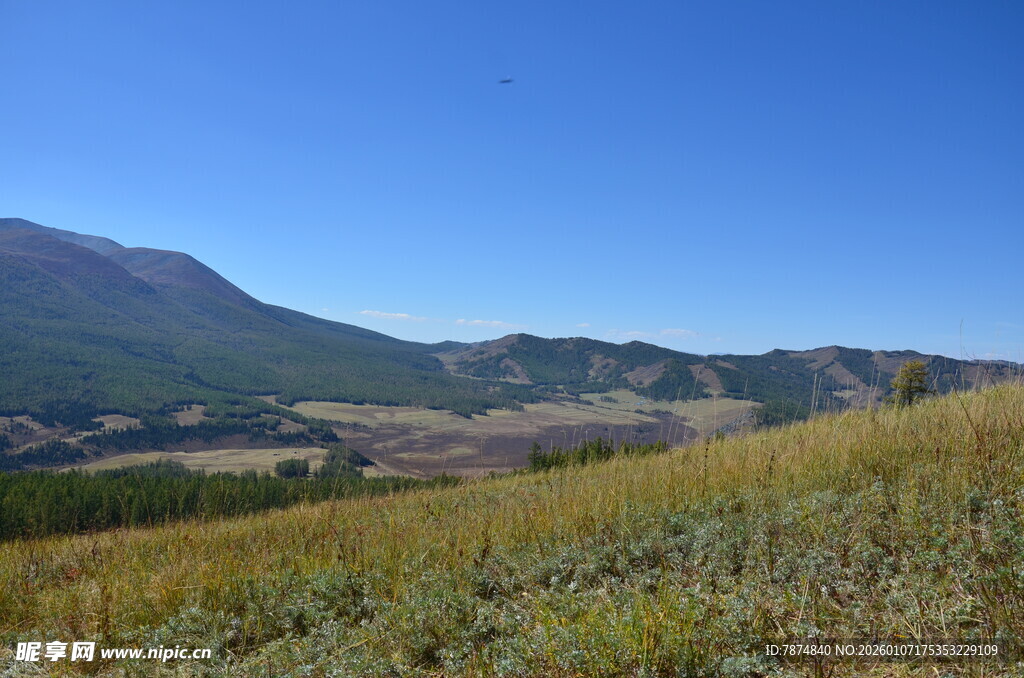 山间草地蓝天美景