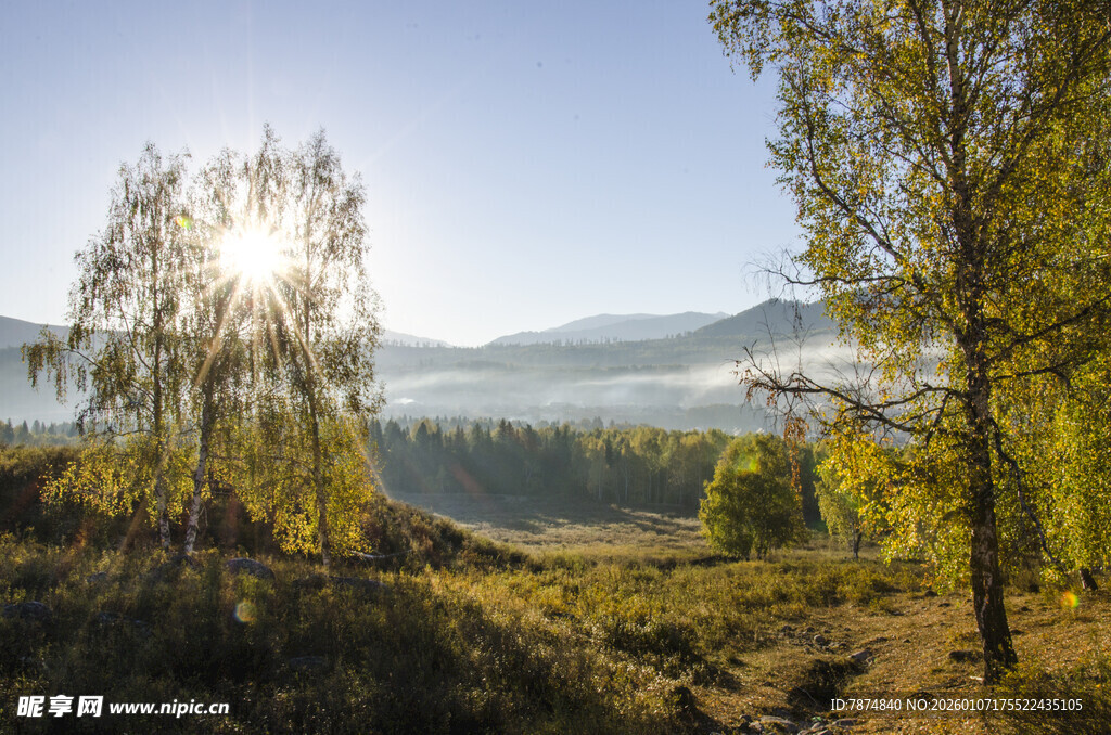 山间晨光中的清新自然景色