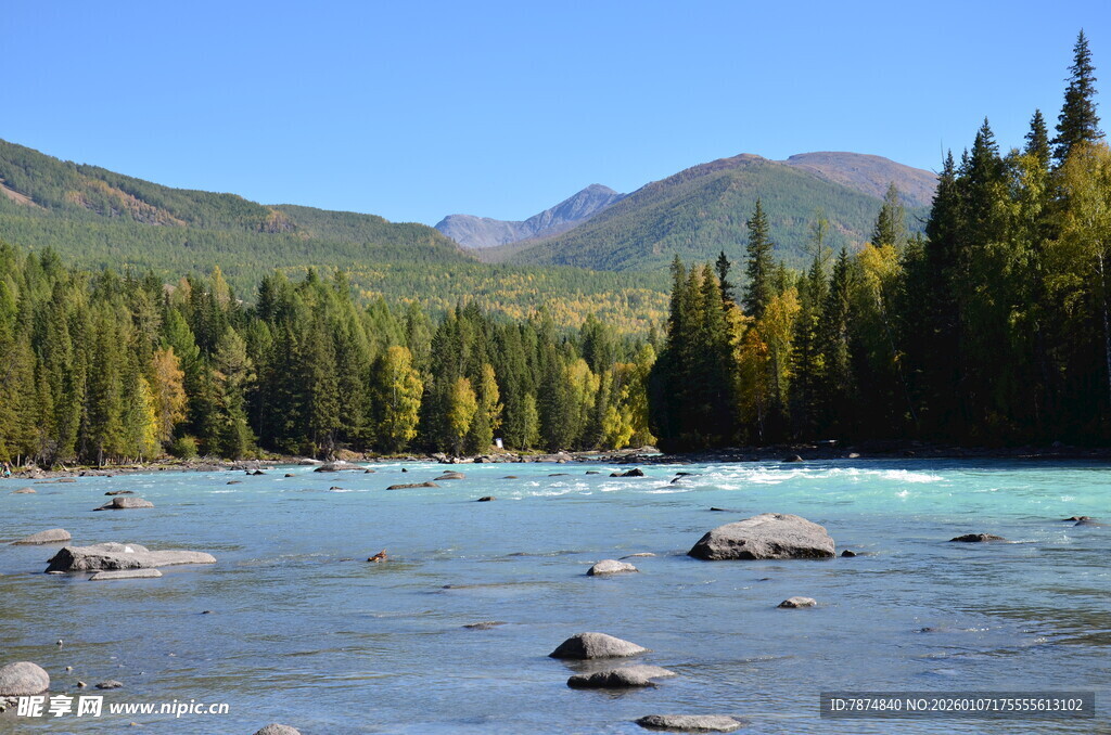 山间清澈河流与葱郁树林