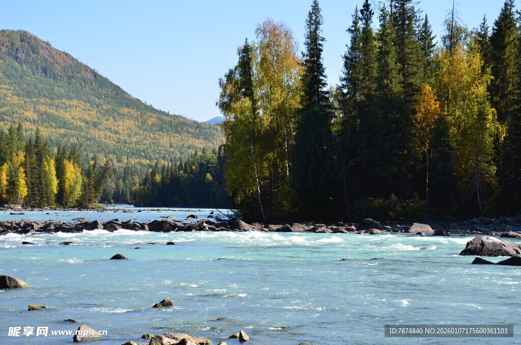 山间河流旁的多彩树林