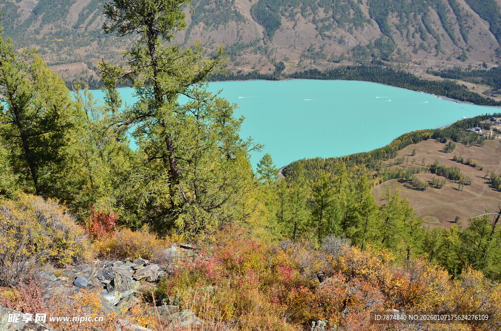 高山湖畔秋色美景