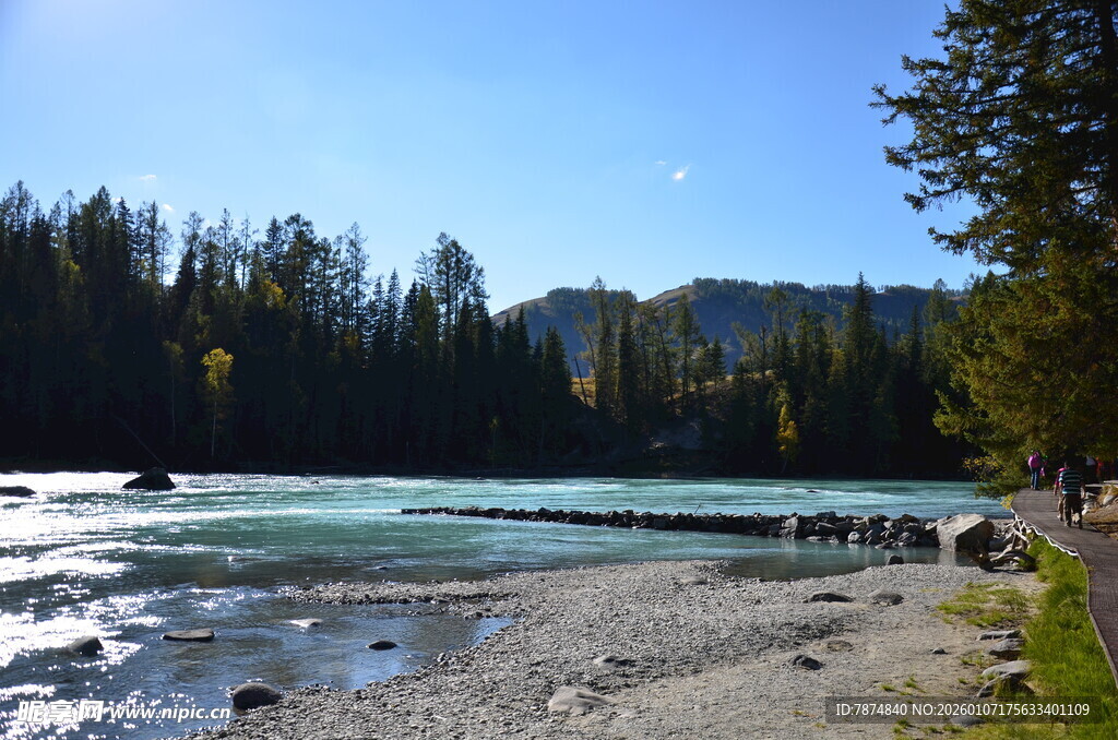 美丽河边森林自然风景