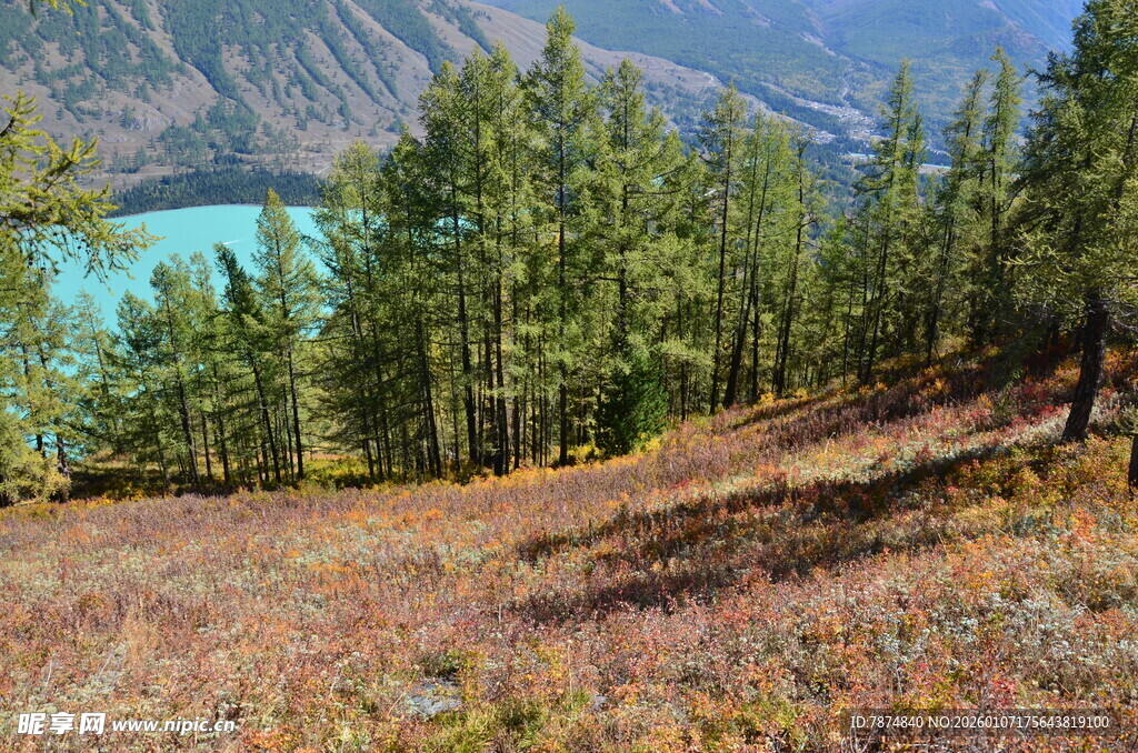 山林湖畔秋日美景