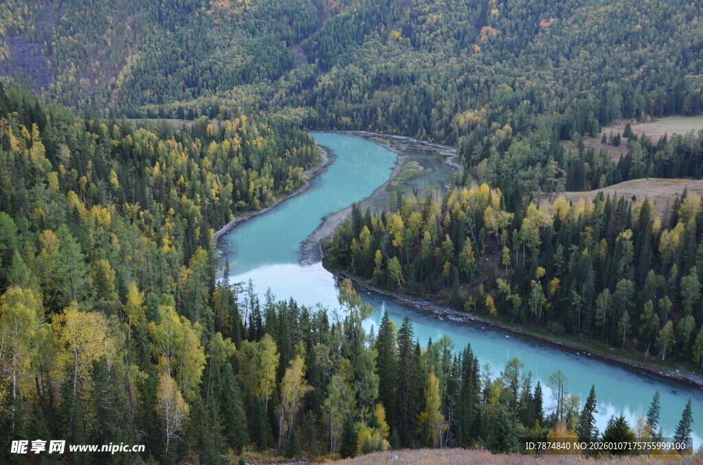 山间蜿蜒河流与葱郁森林