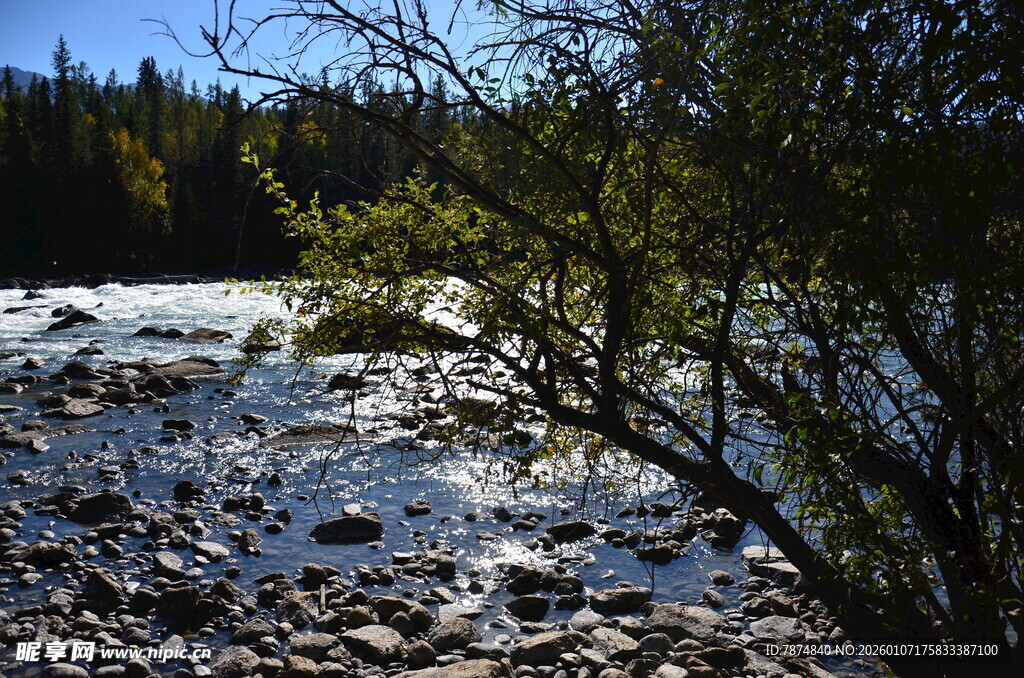 山间溪流与繁茂树木景观