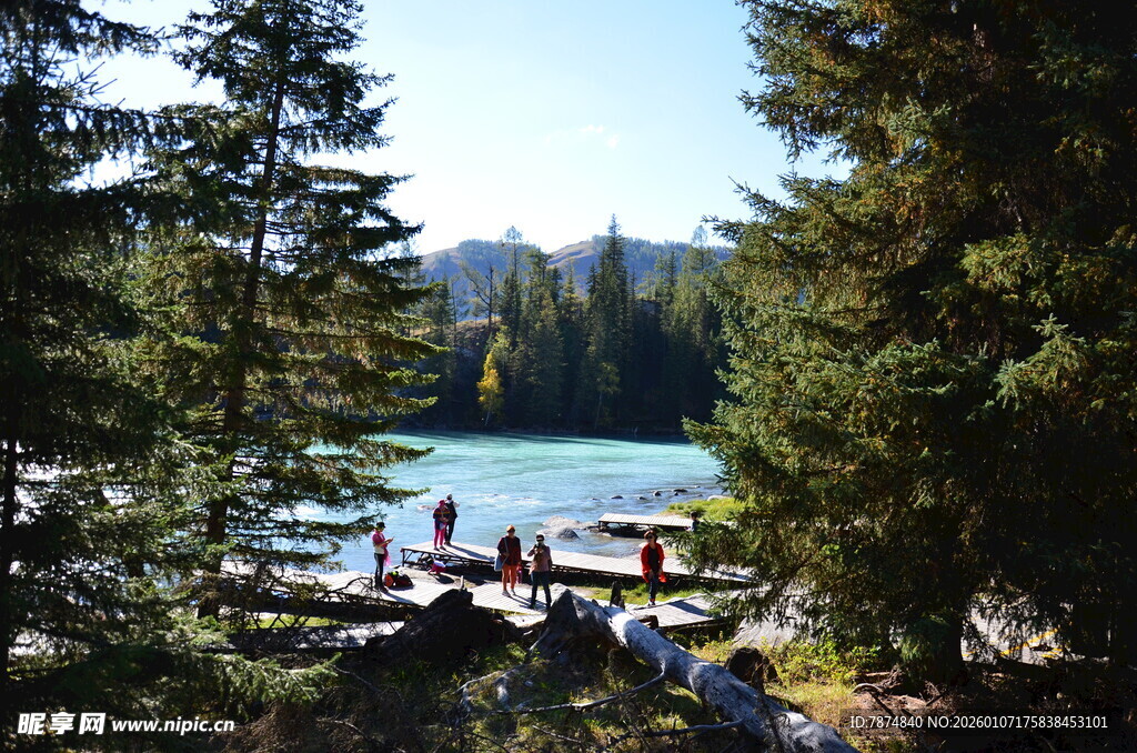 湖畔森林美景 游人休憩处