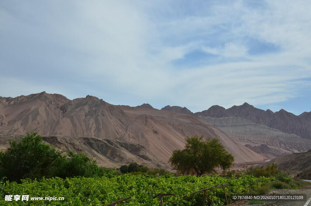 山间绿意与远处山脉景观