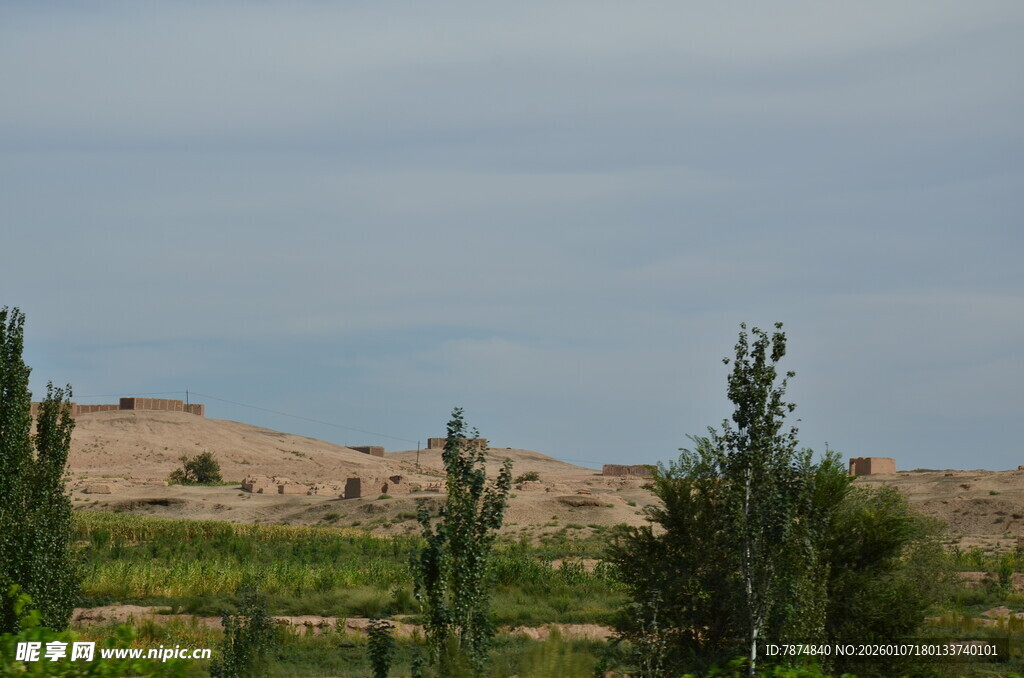 沙漠边缘的绿植景观