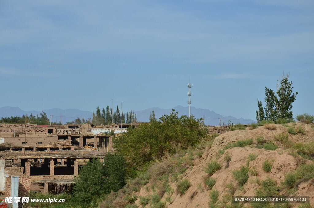 荒废建筑旁的土坡与绿植