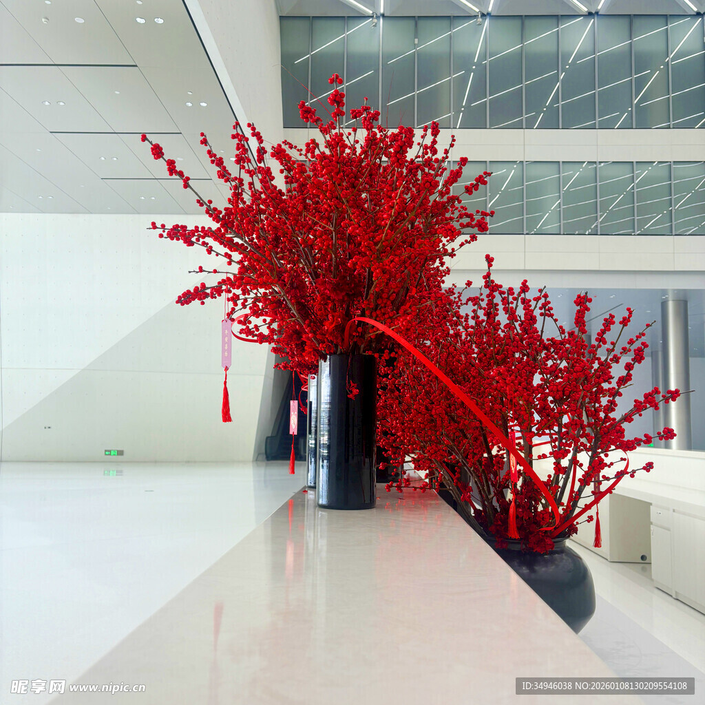 室内红枝装饰景观