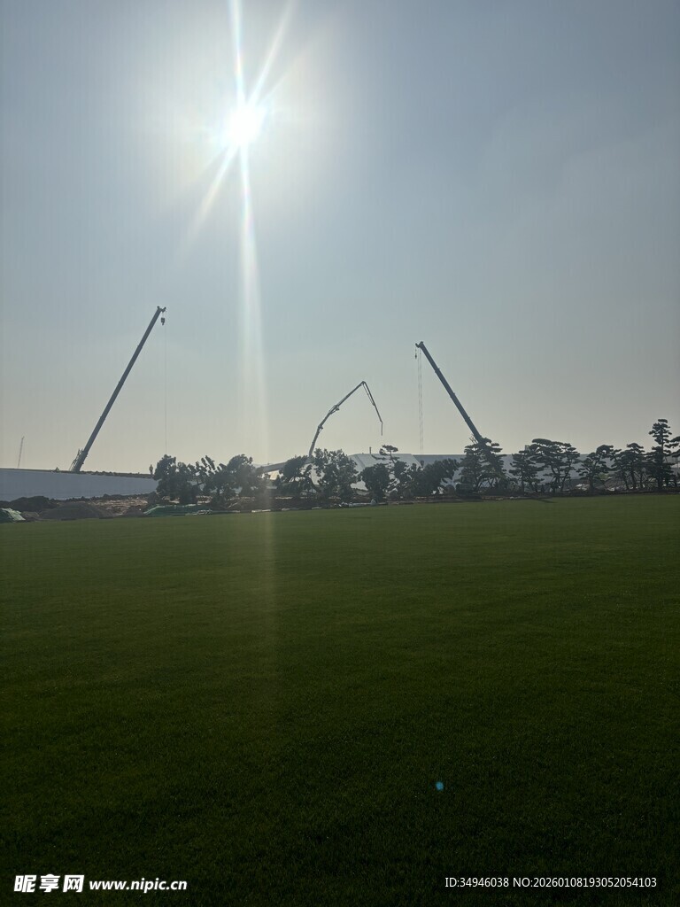 阳光下的户外休闲场景