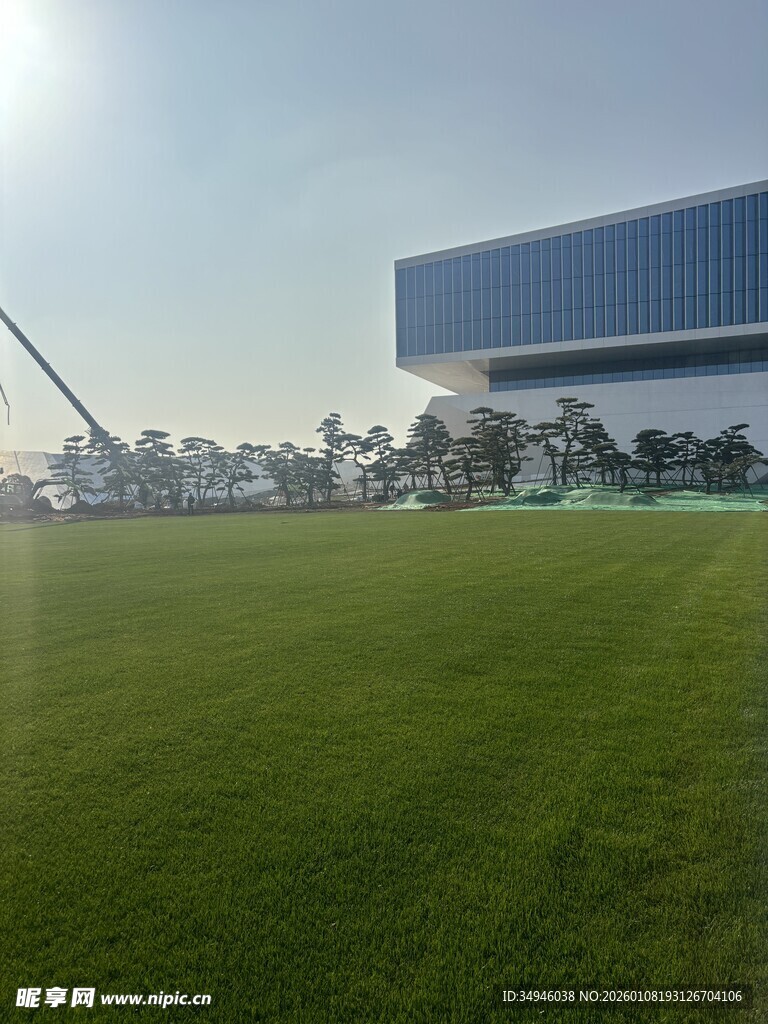 现代建筑旁的开阔绿茵场地