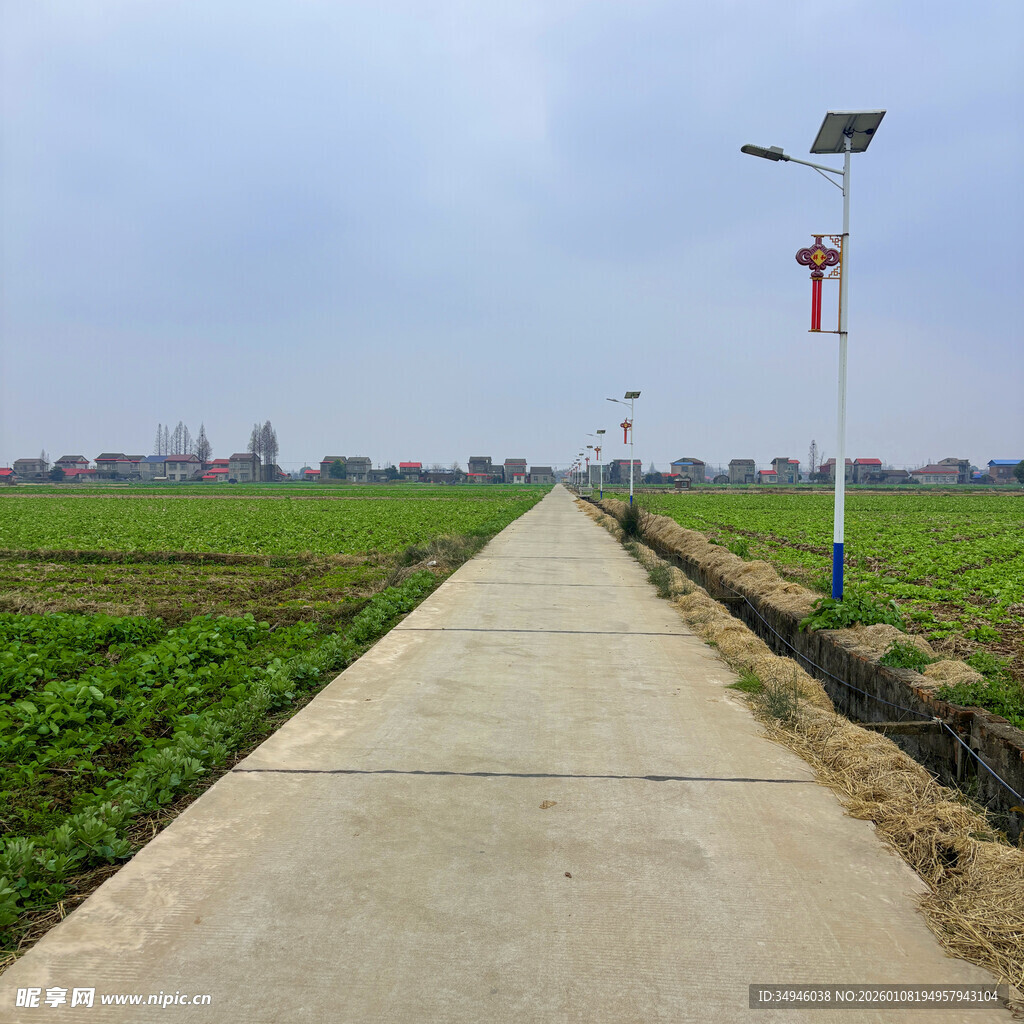 乡村田间水泥路与太阳能灯