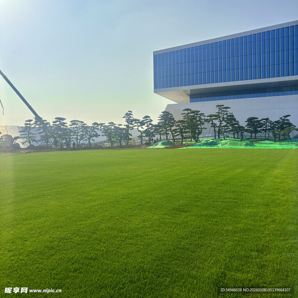 城市中开阔的绿茵场地