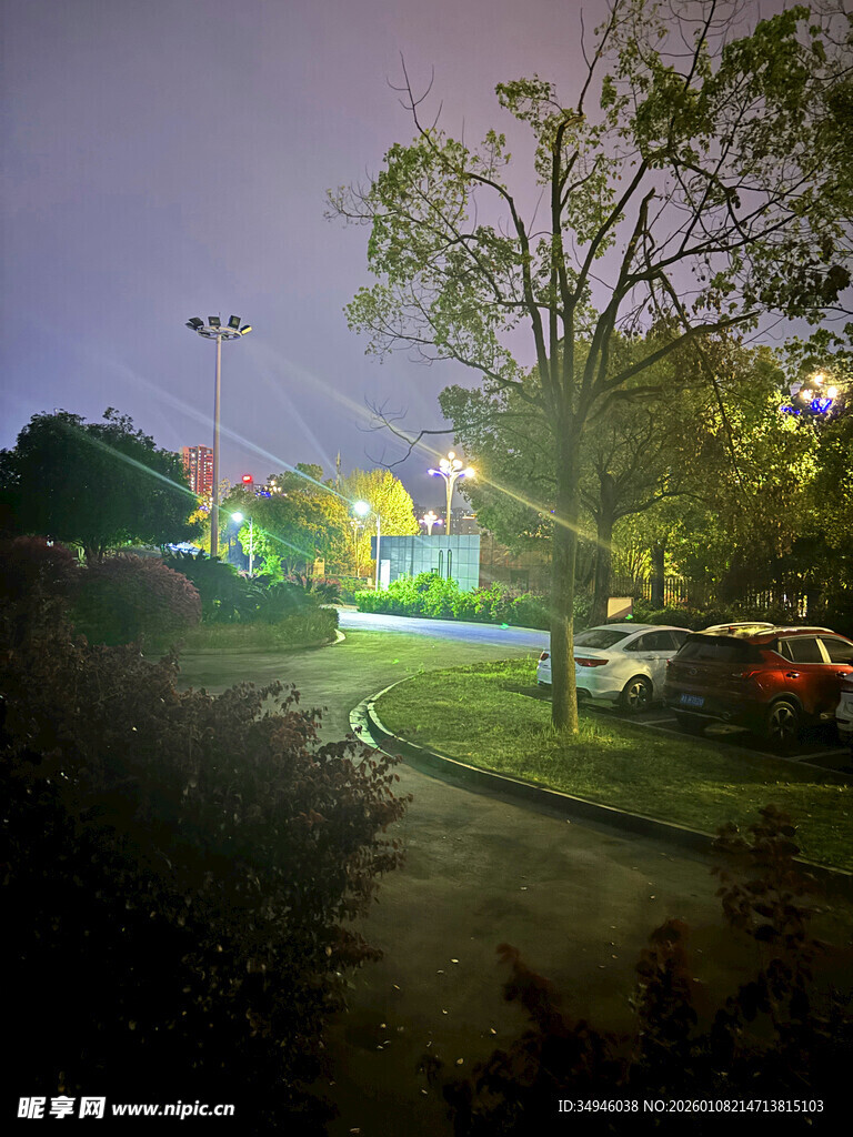 夜晚小区道路及周边景象