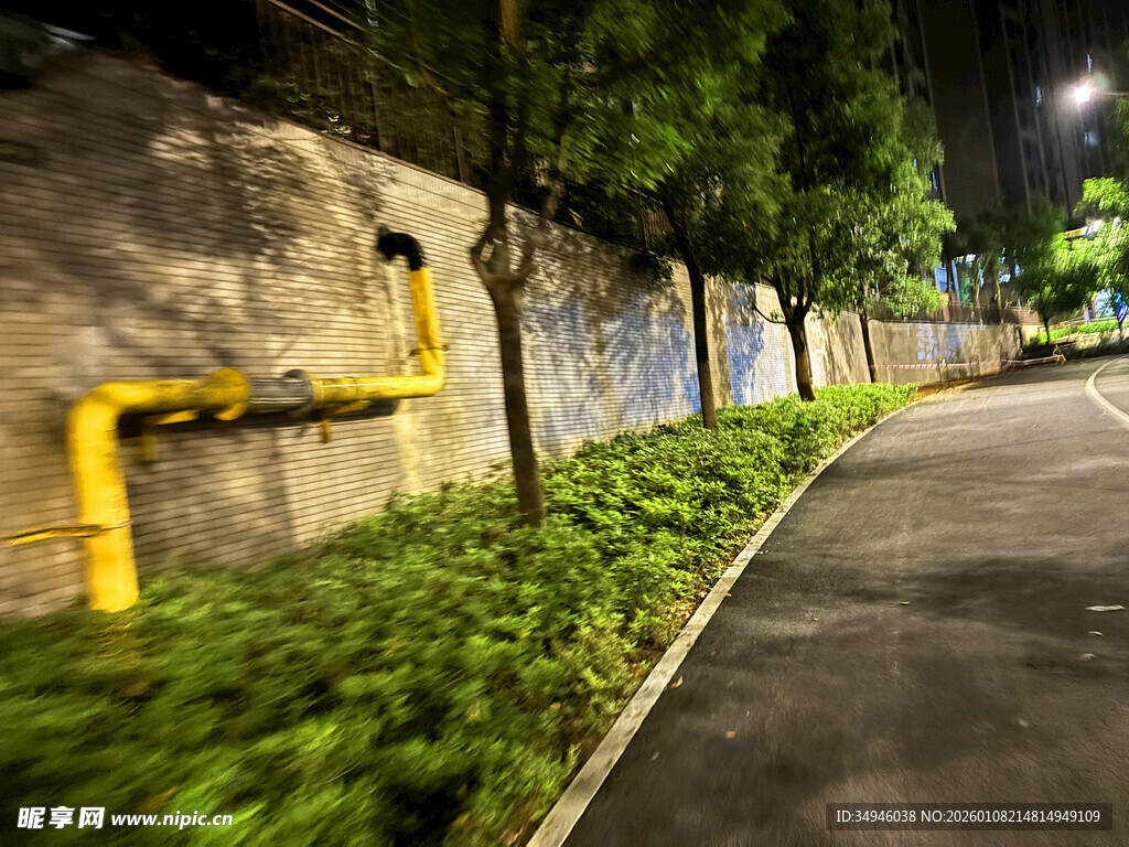 夜晚小路旁的绿植与管道
