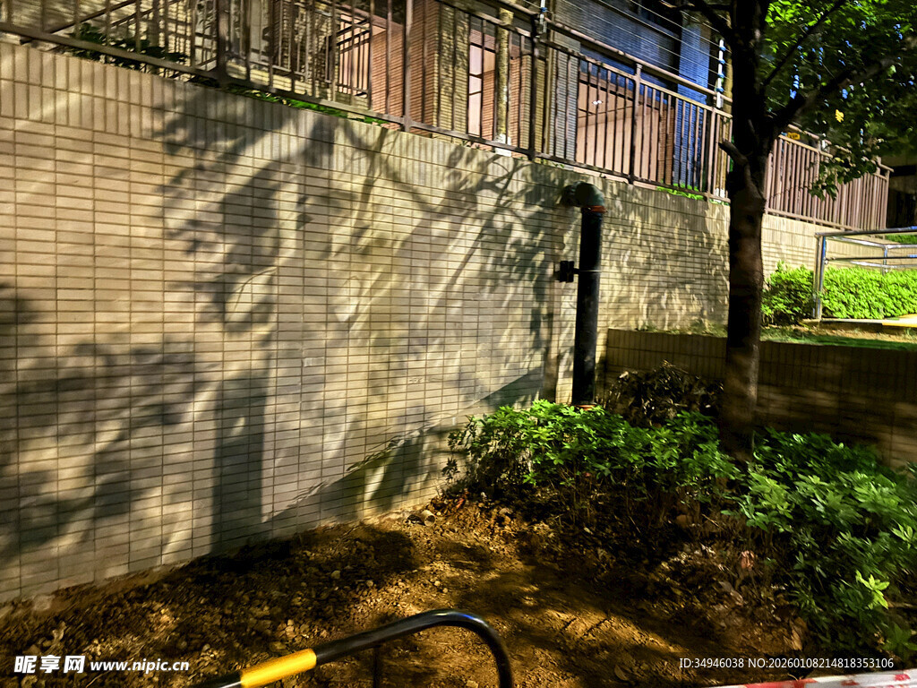 墙边绿植与施工场景