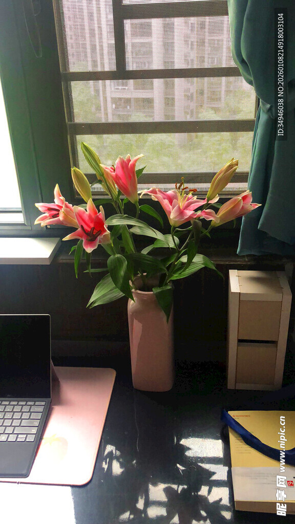 窗边花瓶中的艳丽花卉