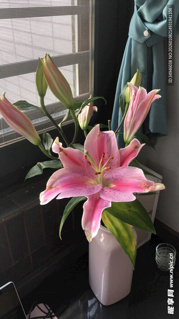 粉色百合花插于花瓶中