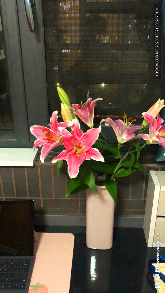 粉色百合花插于花瓶中