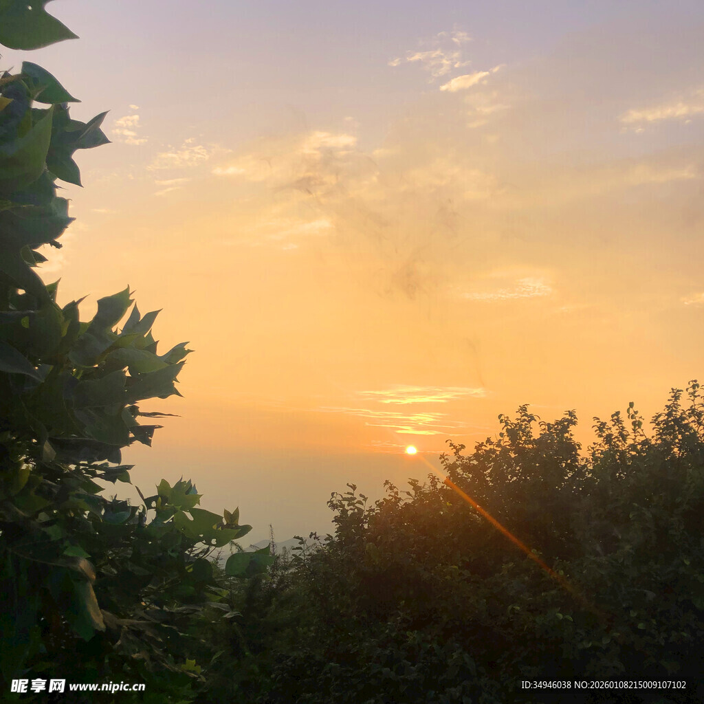 日落时分的林间美景