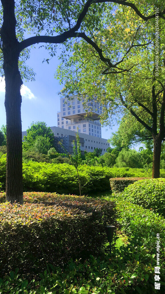 城市中的静谧绿意园林