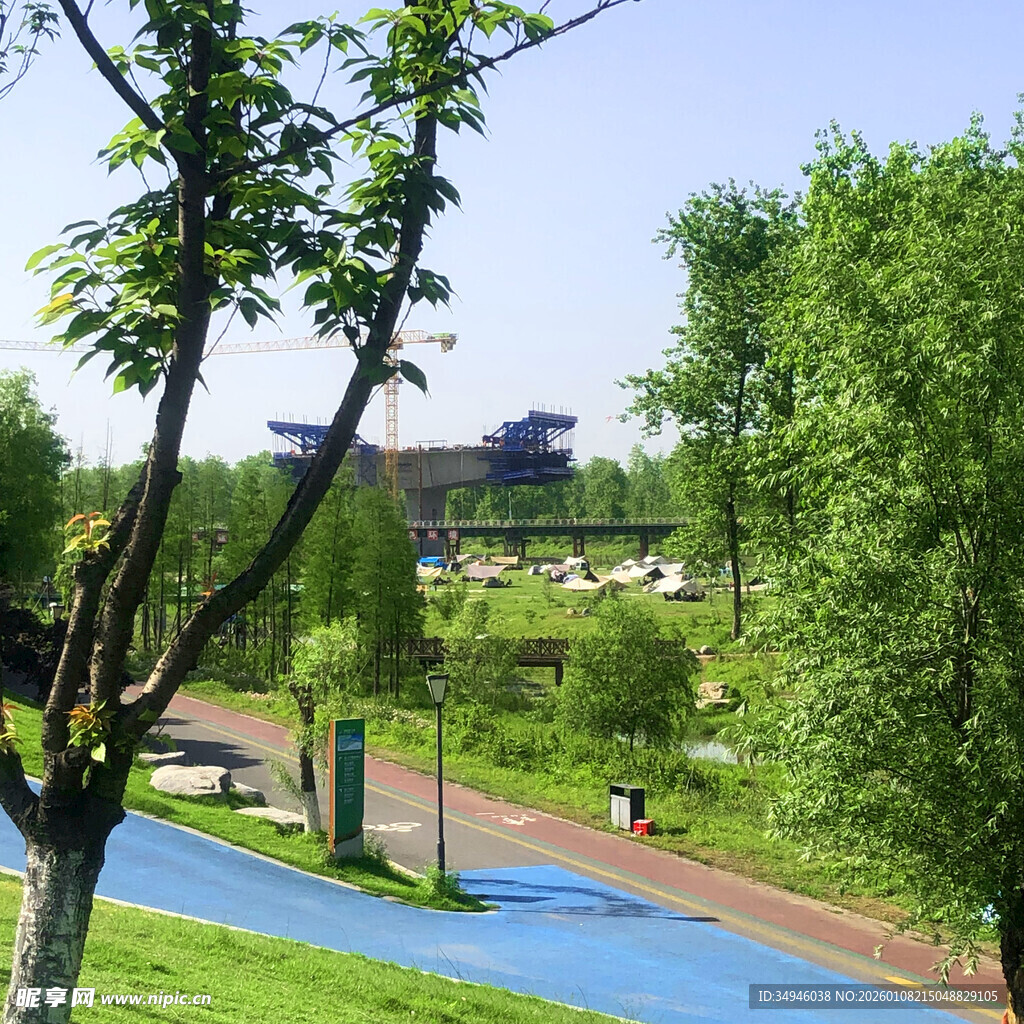 城市公园绿意盎然的景致