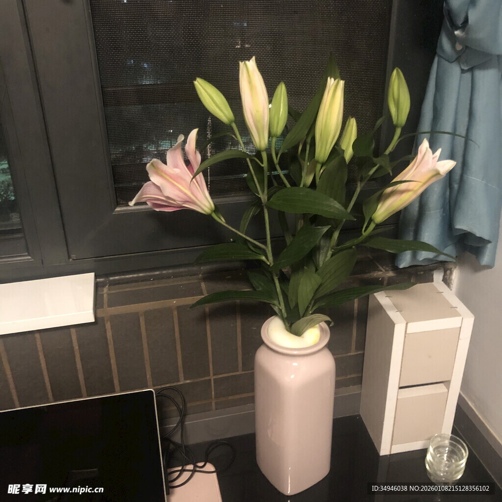 粉色花瓶中的优雅百合花