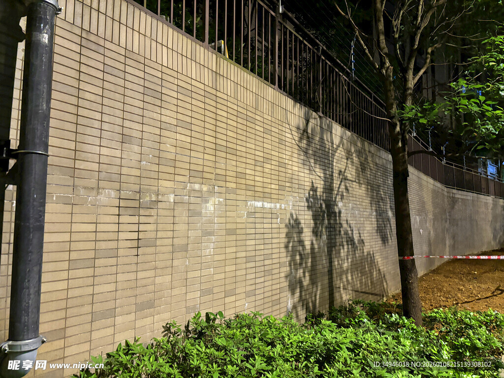 砖砌围墙旁的绿植景观