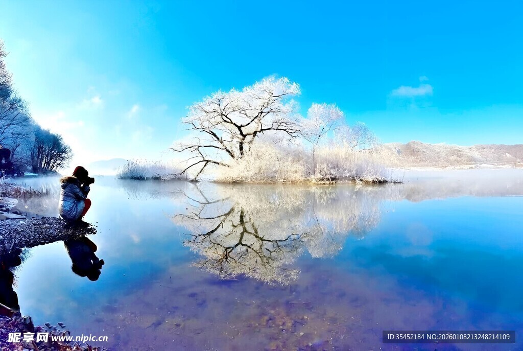 湖畔雪树