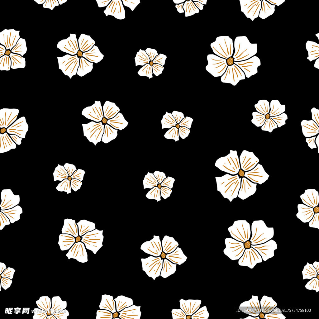 黑色背景上的白色花朵图案