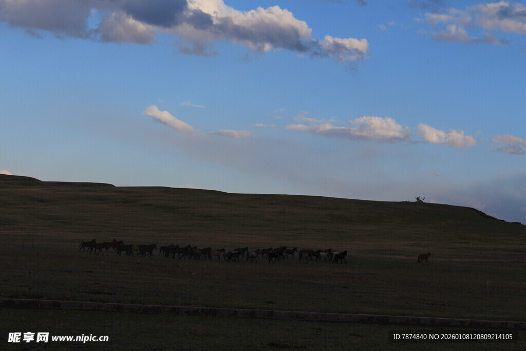 草原蓝天 云朵悠悠