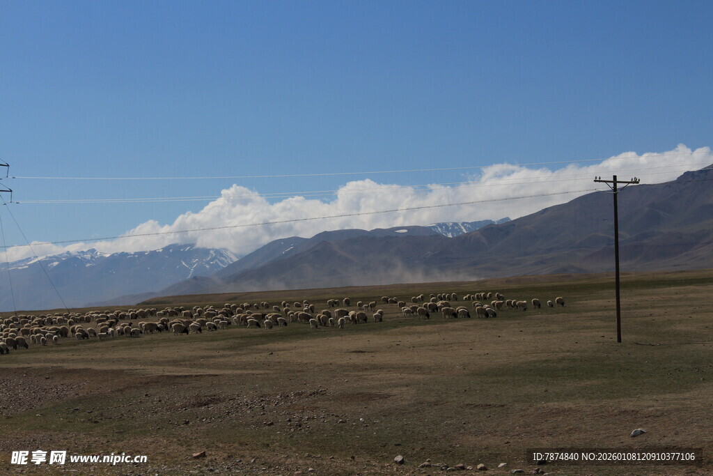 草原牧场景色远眺