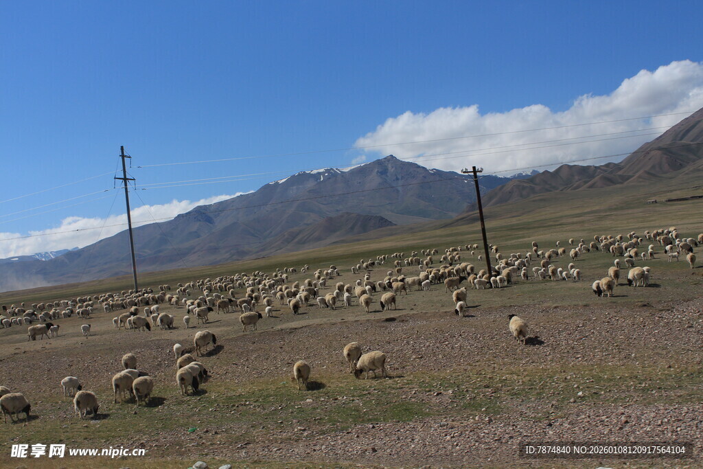 草原羊群与远山美景