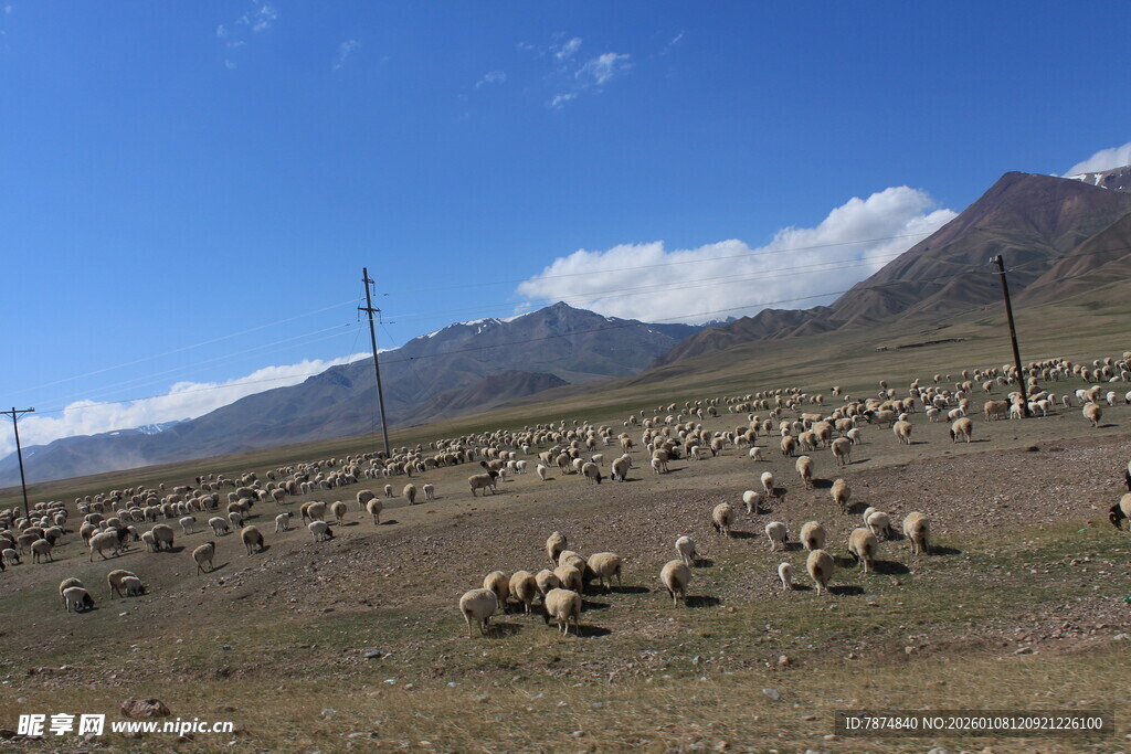 草原羊群与远山美景