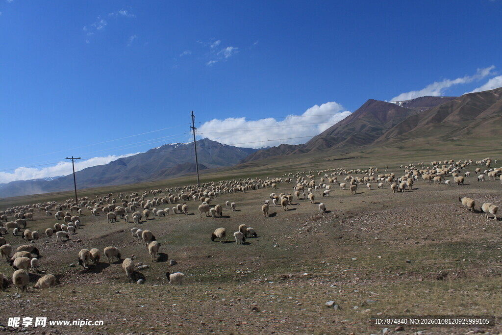 草原羊群与远山蓝天