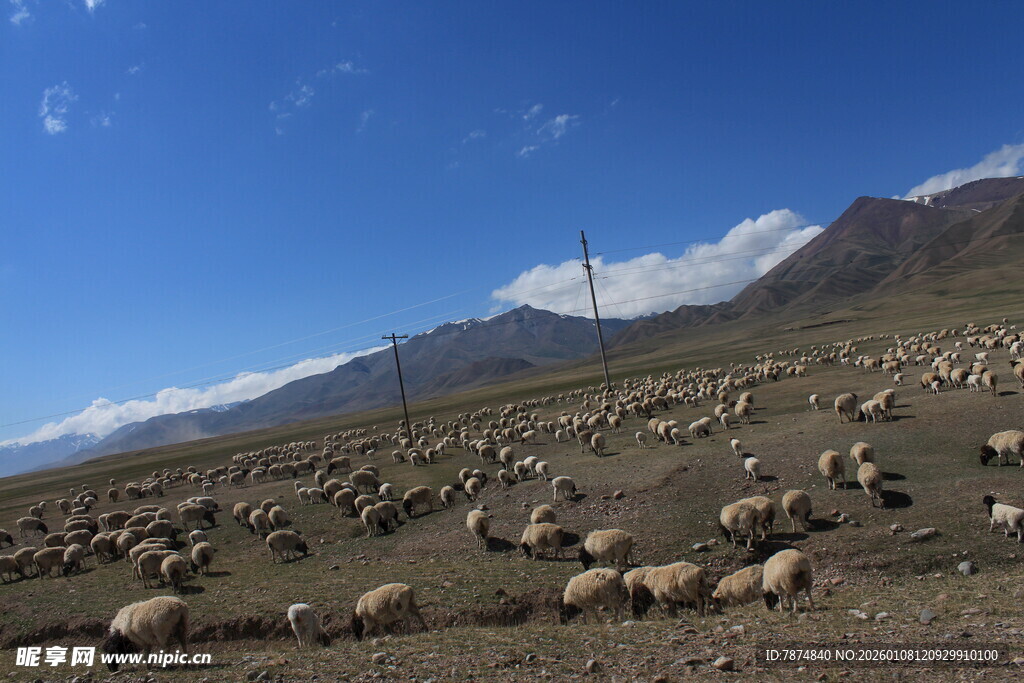 草原羊群与远山蓝天