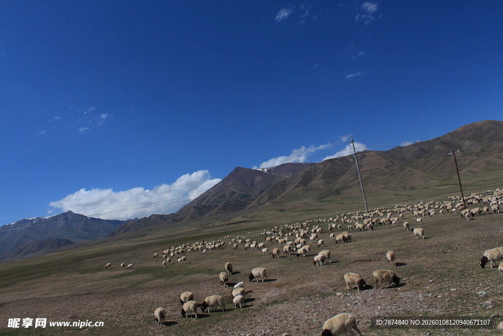 草原羊群与远山蓝天