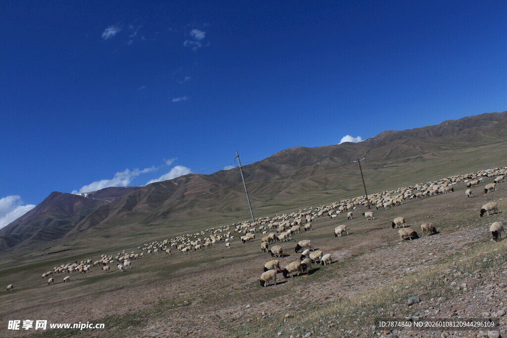 草原上的牛羊与远山蓝天