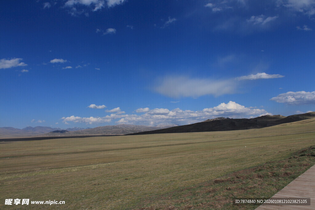 广阔草原与蓝天白云美景