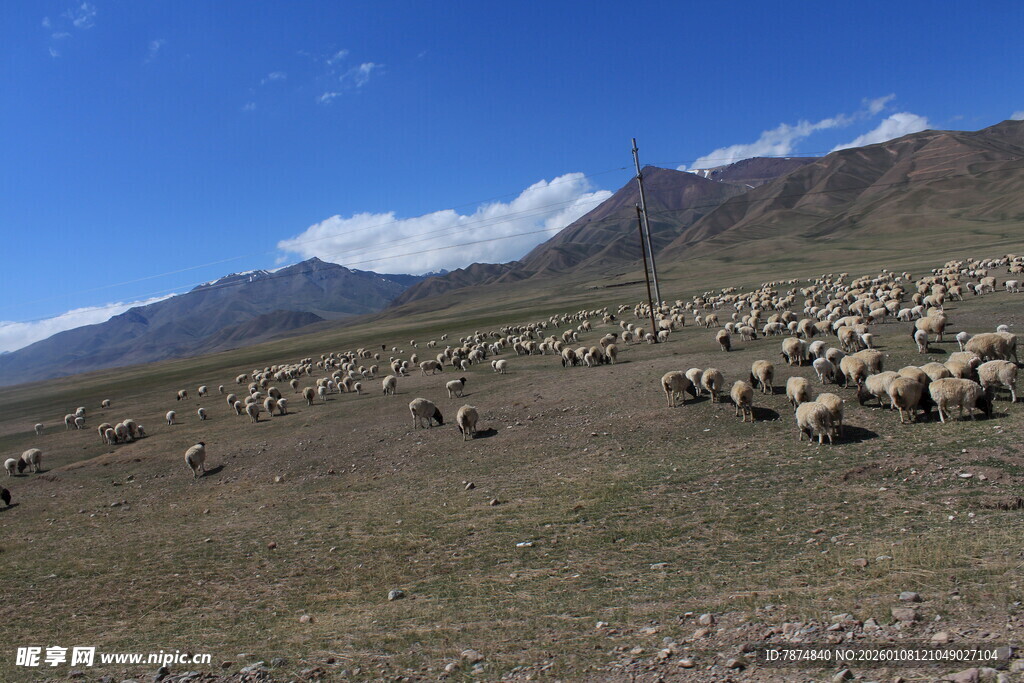 草原羊群与远山美景