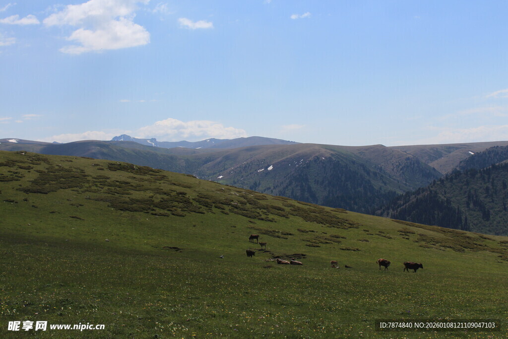 草原山峦间的悠然景致