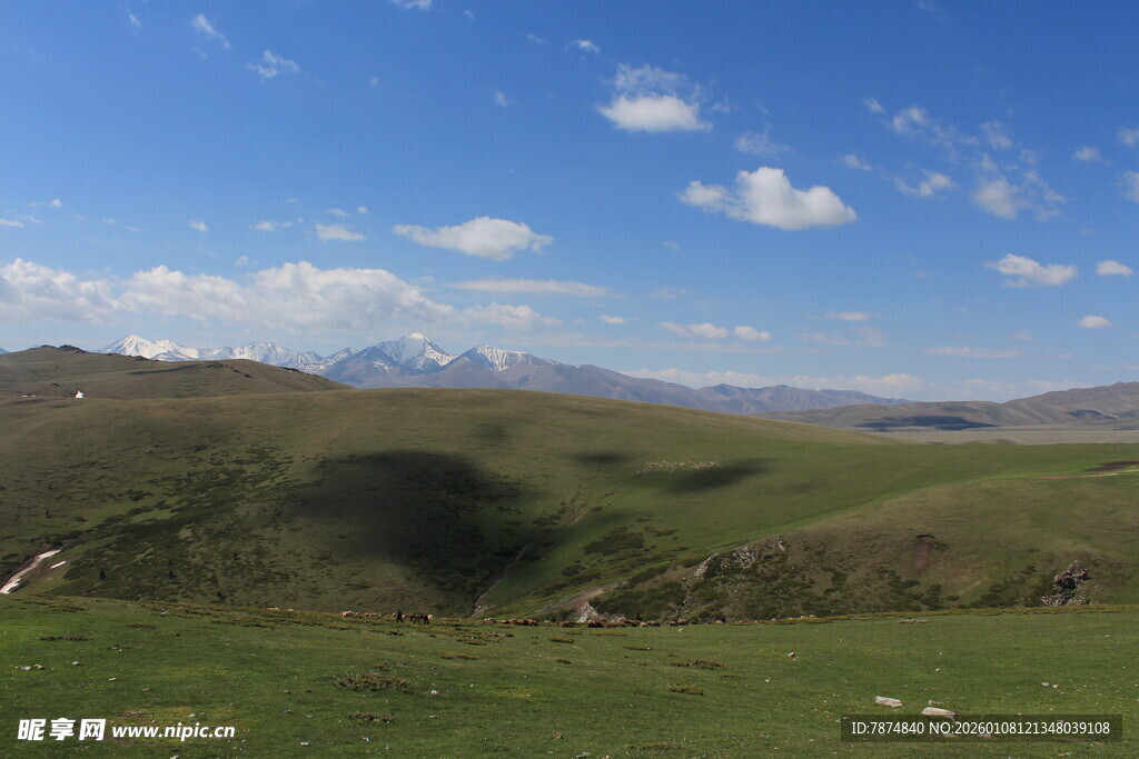 草原蓝天远山风景如画