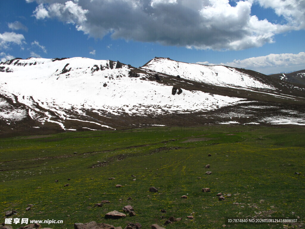 雪山下的翠绿草原风光