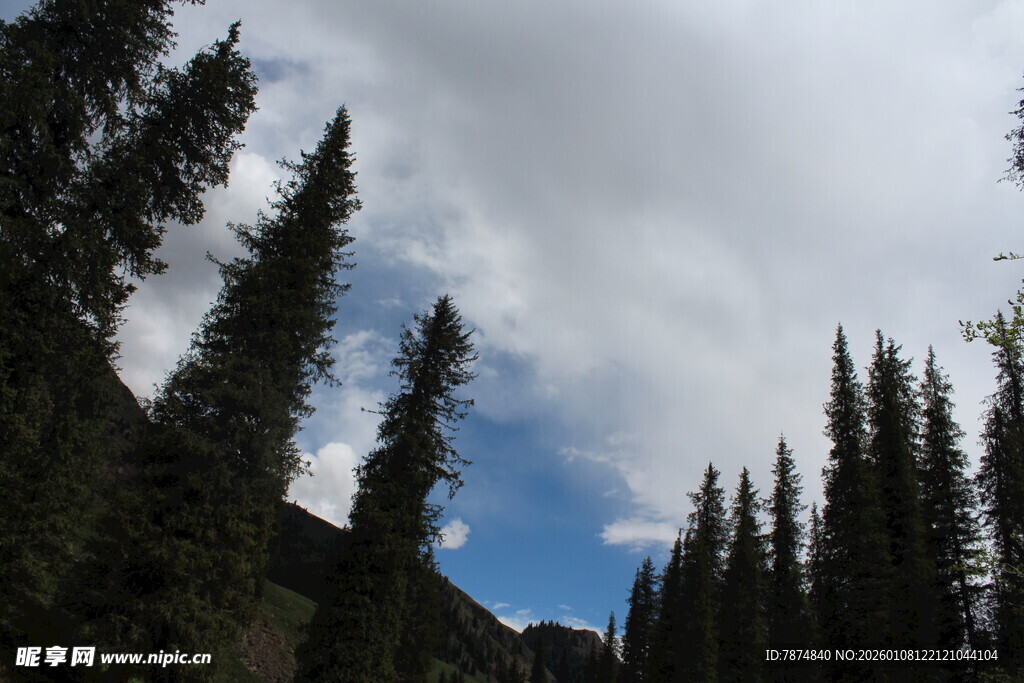 山林松景 蓝天白云相伴