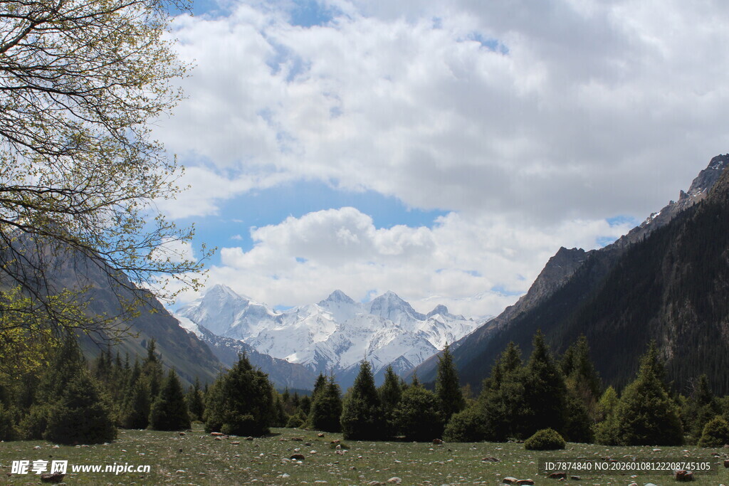 山间草原与远处雪山美景