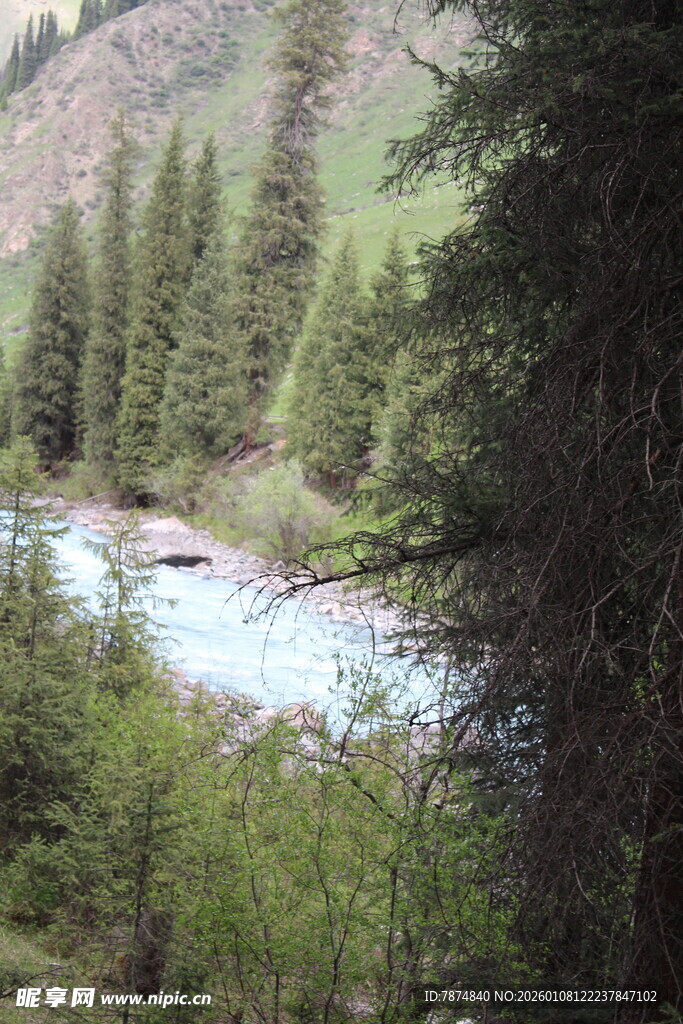 山林间的清澈溪流