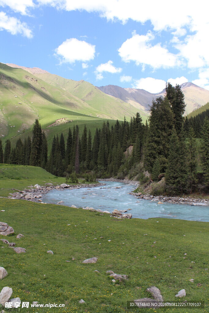 山间溪流旁的葱郁美景